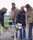 Carressant un loup entre Alexis et Anthony